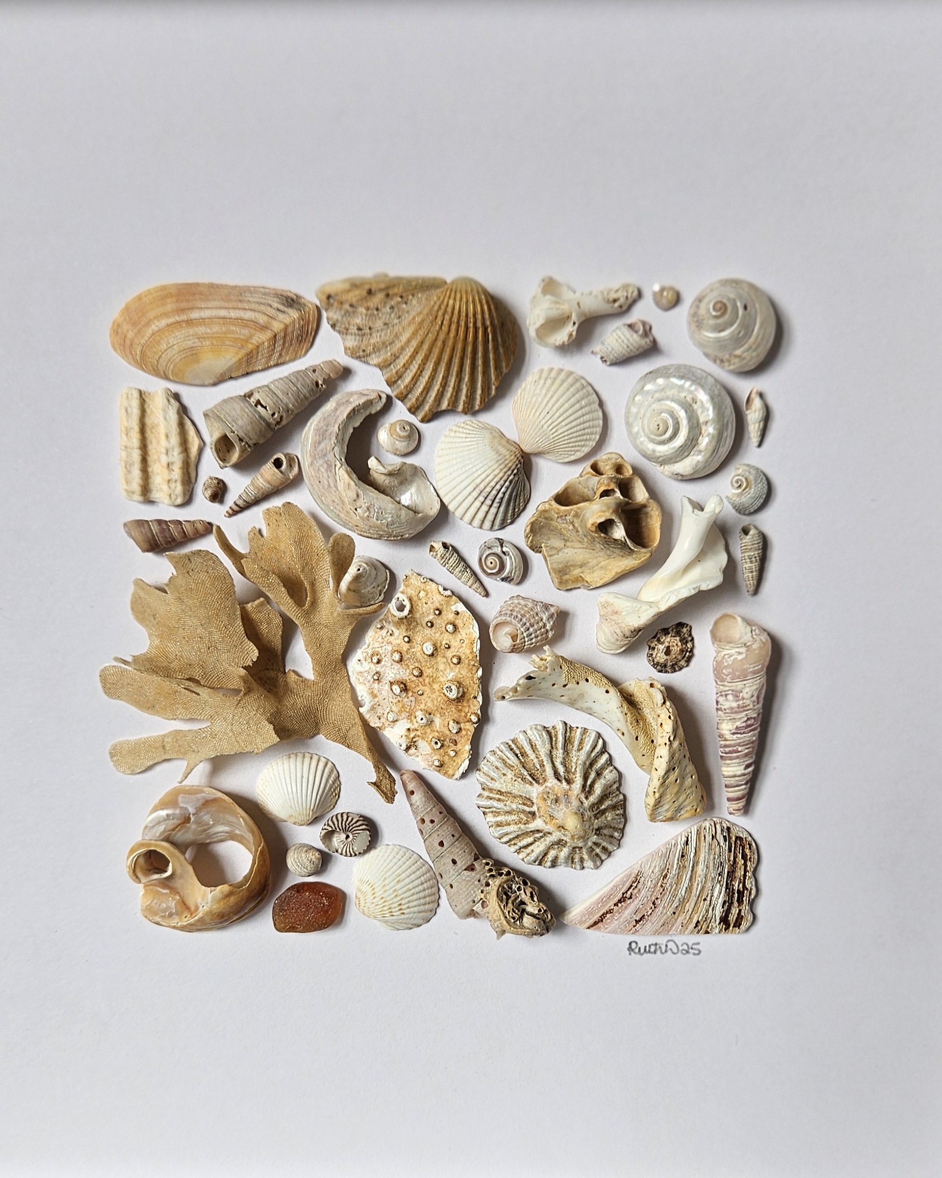 20250905_150909-shell-workshop1