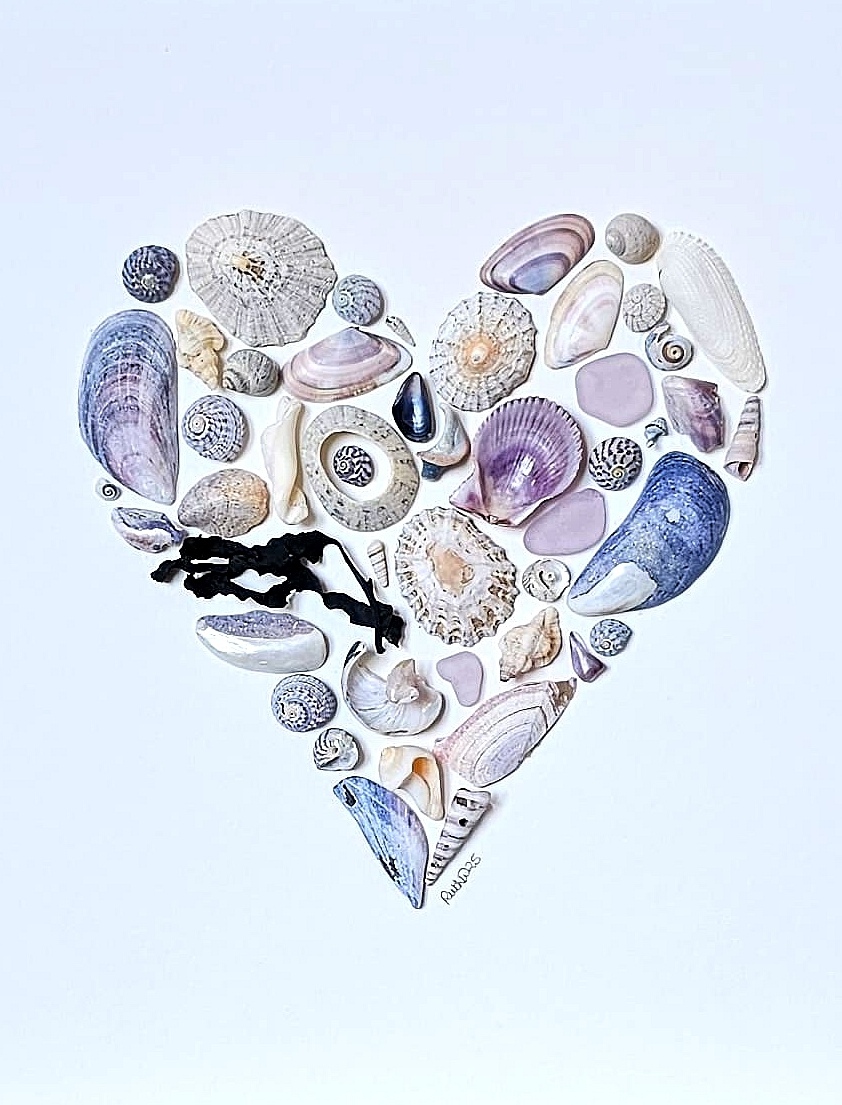 img_20250506_082424-shell-workshop